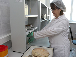 ФГБУ «ВНИИЗЖ» в Башкирии провело исследования на площади более 1,8 млн га лесного фонда