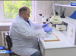 В Орловской фитосанитарной лаборатории ФГБУ «ВНИИЗЖ» проверили цветы к 1 сентября